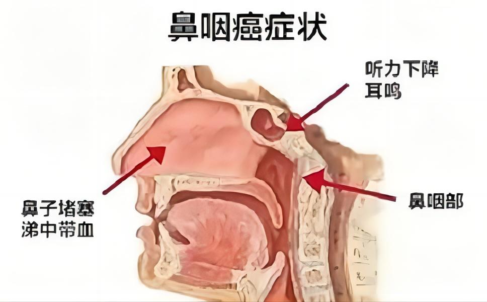 保健科图片1.png