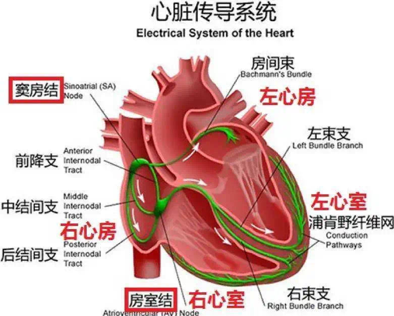 黎耀天.jpg