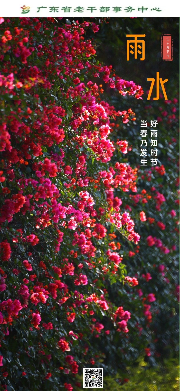 雨水2.18.jpg