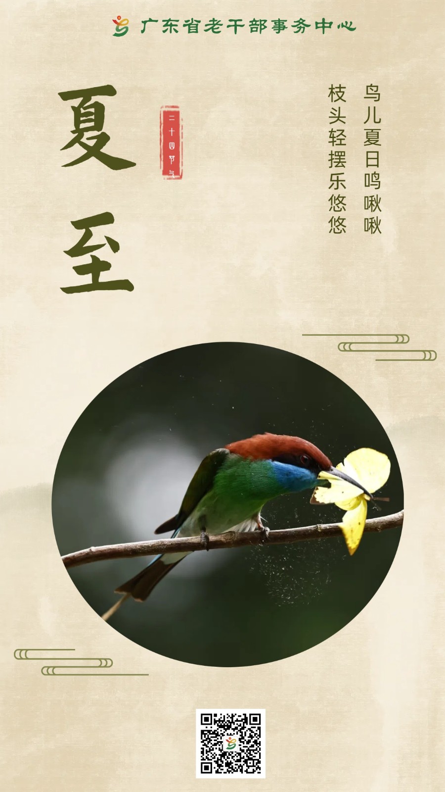 夏至6.20版本1.jpg