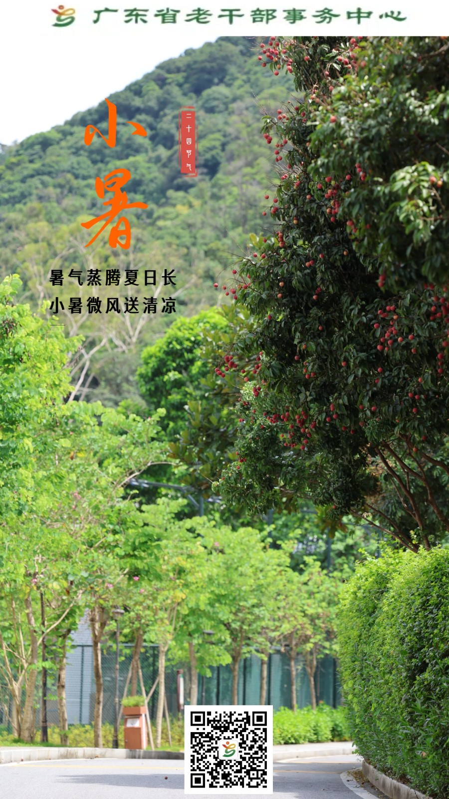 小暑1.0.jpg