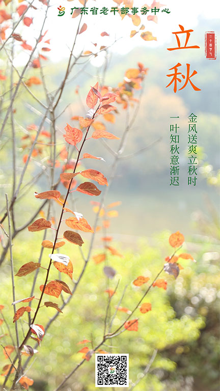 haibao.jpg
