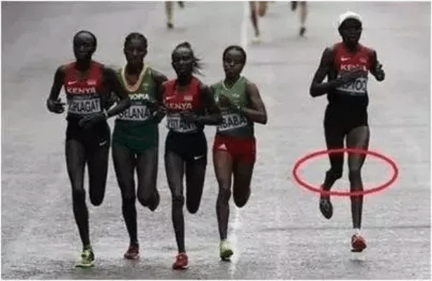 1763712704.png 图片 3.png