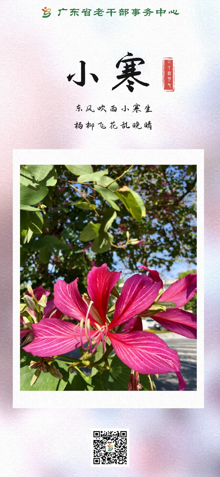 小寒2.0.jpg