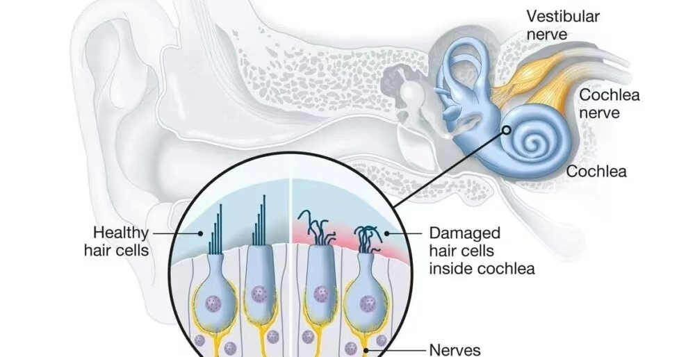 1772498568.png 1772498568.png