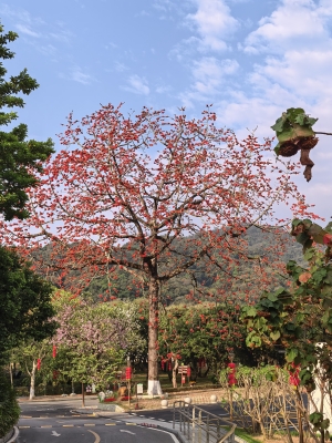 1773028701.jpg 10835133816586882795(1)_副本.jpg